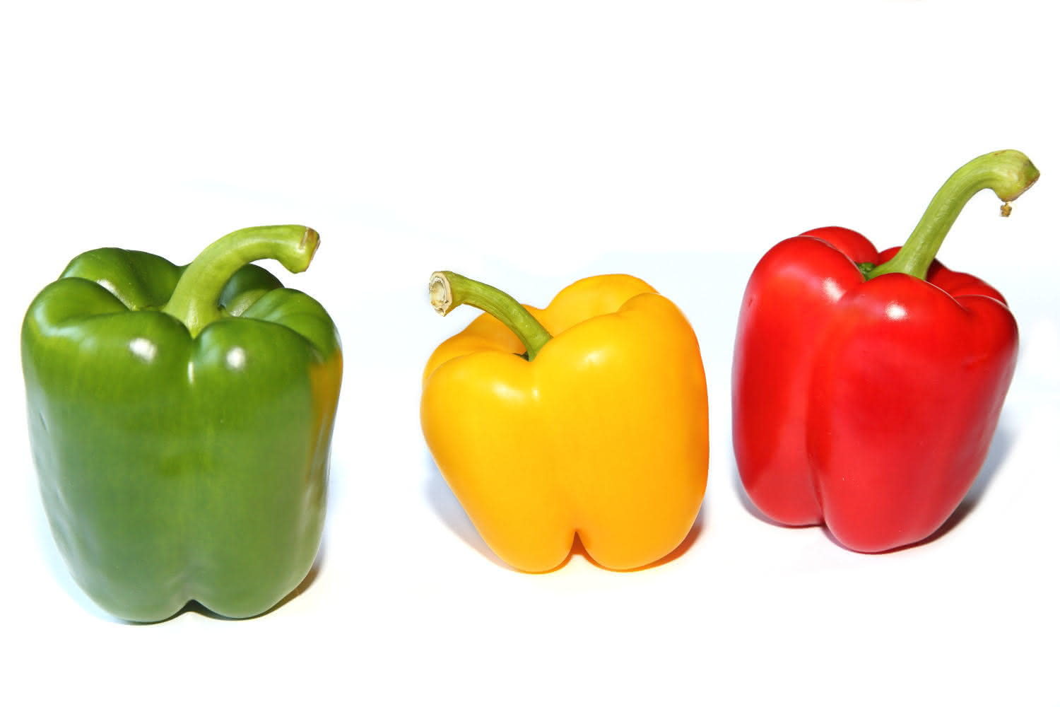 farbige Paprika (grün, gelb, rot)