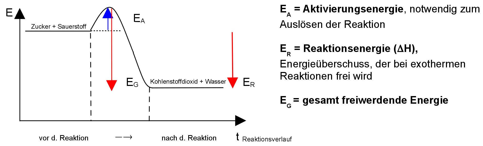 Energiediagramm einer exothermen Reaktion