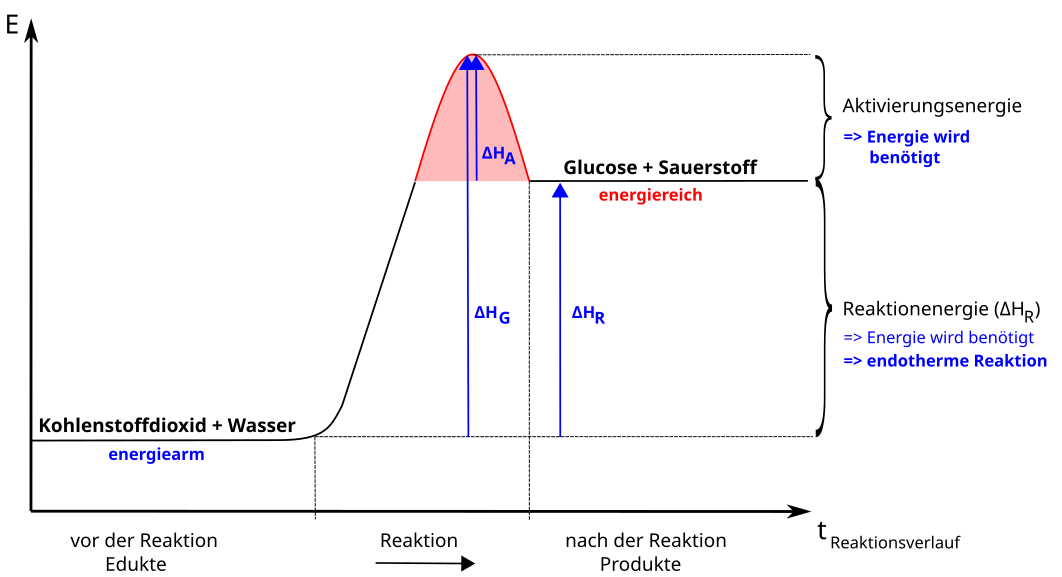 Energiediagramm endotherme Reaktion
