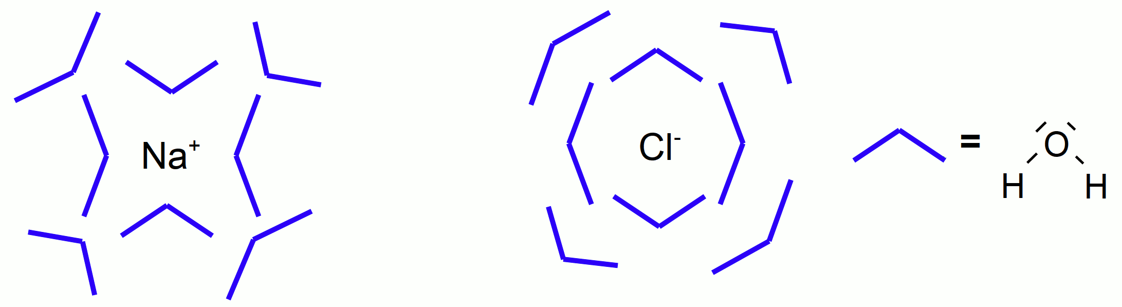 Hhydratisierung von NaCl (Na-Ionen, Cl-Ionen) nach dem "Bananenmodell"